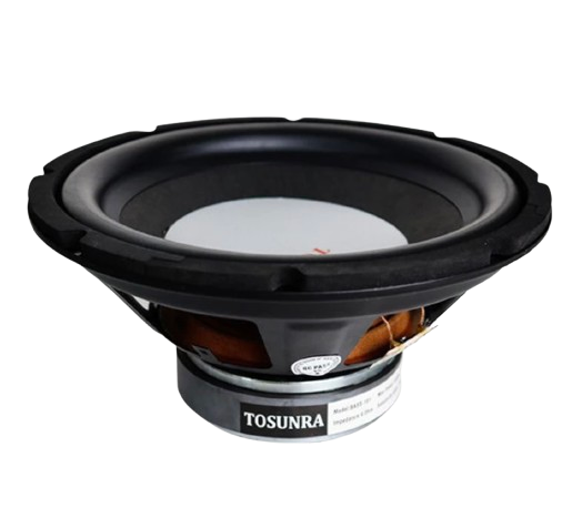10 Best Subwoofers in the Philippines 2026 | Astron, Pioneer, and More 5