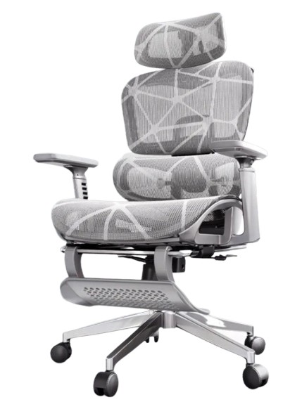Ergonomic Chair	  1