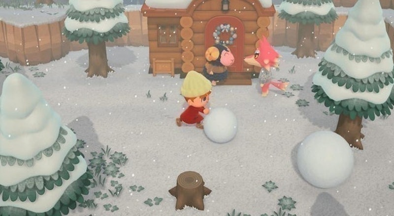 Animal Crossing: New Horizons 9