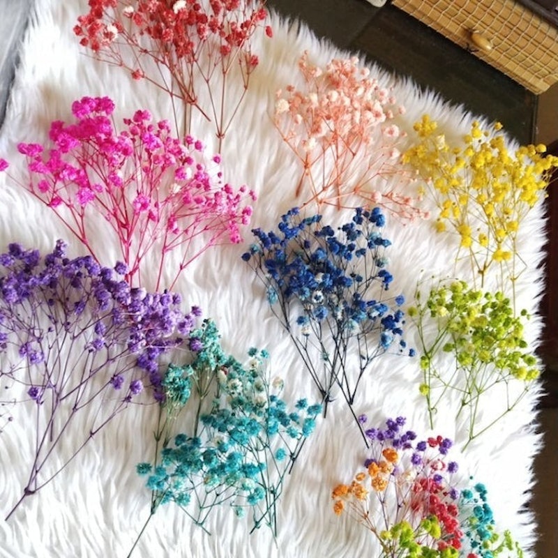 Baby's Breath Bunch 1
