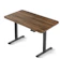 ToZient Standing Desk 1