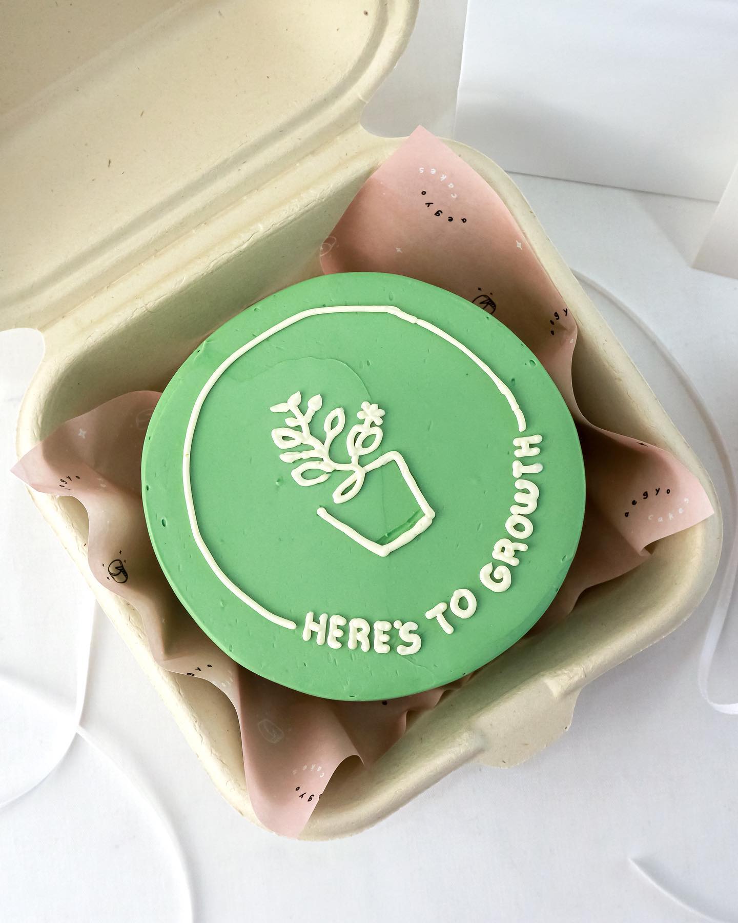 Bento Cake 3
