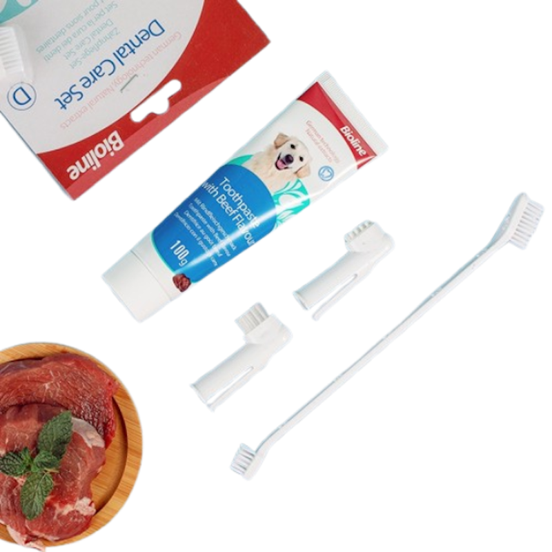 Dental Kit for Pets 2