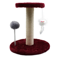 Cat Scratching Post