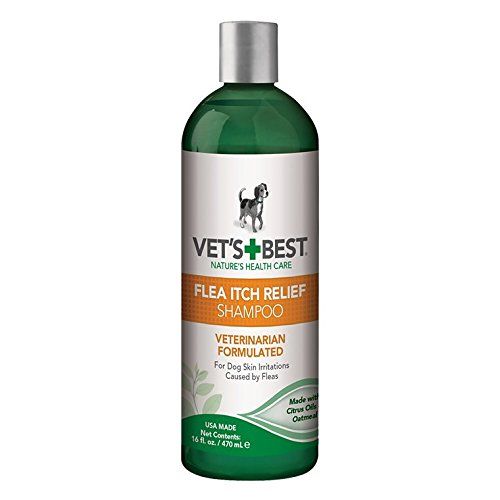 10 Best Dog Shampoos in the Philippines 2024 Buying Guide Reviewed by Veterinarian mybest