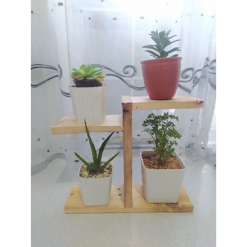 Plant Rack 2
