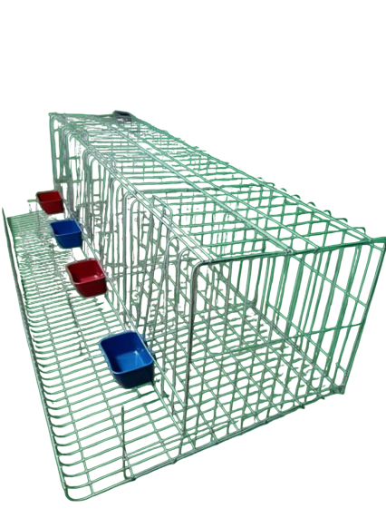 10 Best Chicken Coops in the Philippines 2026 3