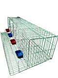 10 Best Chicken Coops in the Philippines 2026 3