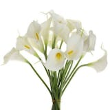 10 Best Artificial Flowers in the Philippines 2026 | Buying Guide Reviewed by Interior Designer 2