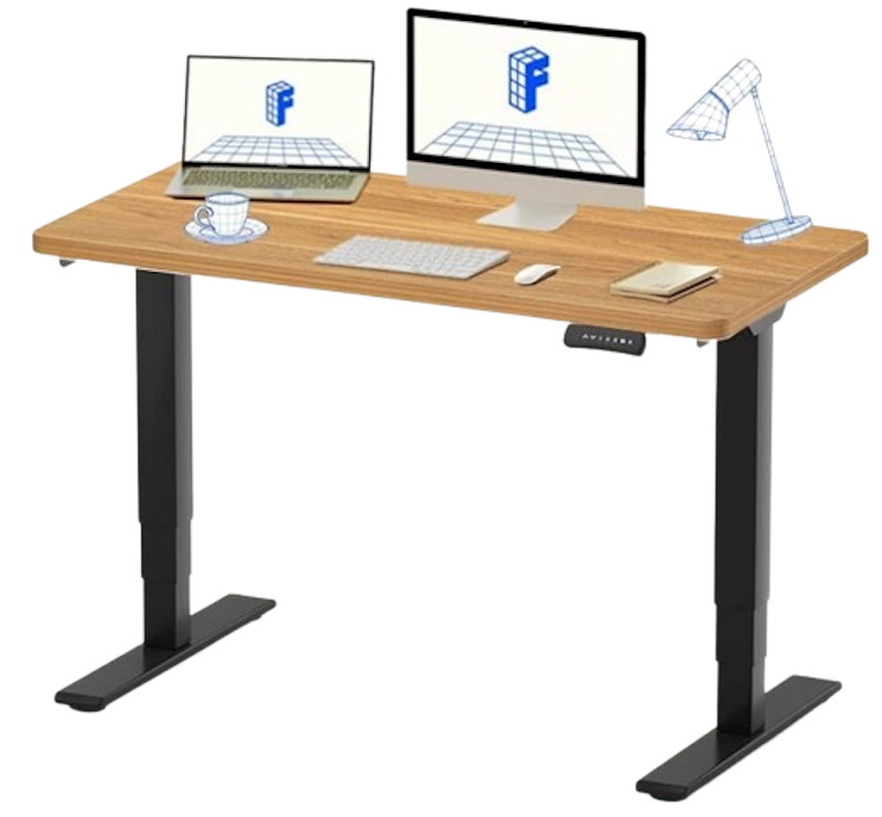E5 Electric Standard Standing Desk 1