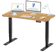 FlexiSpot E5 Electric Standard Standing Desk 1