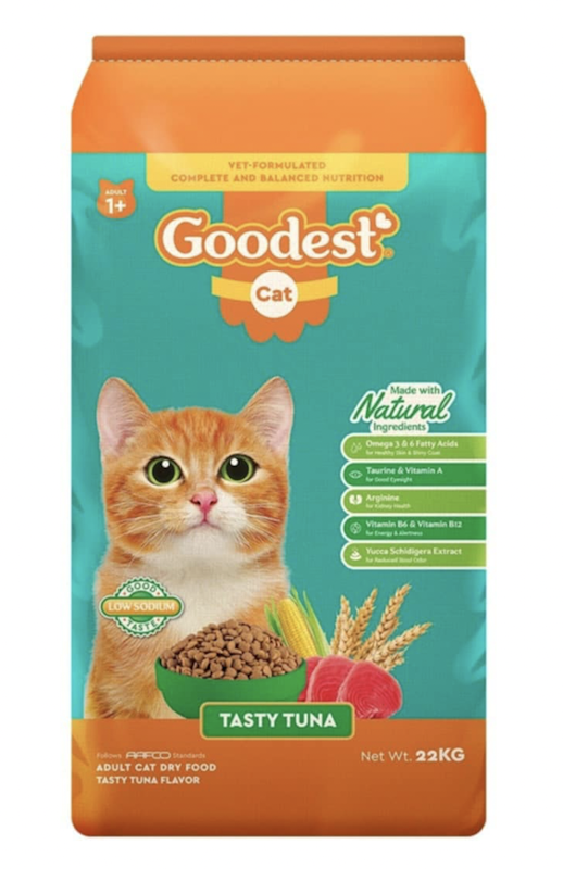 Indoor Cats Top 10 Dry Cat Food Brands 10 Best Dry Cat Foods In