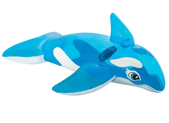 Lil' Whale Ride-On 1