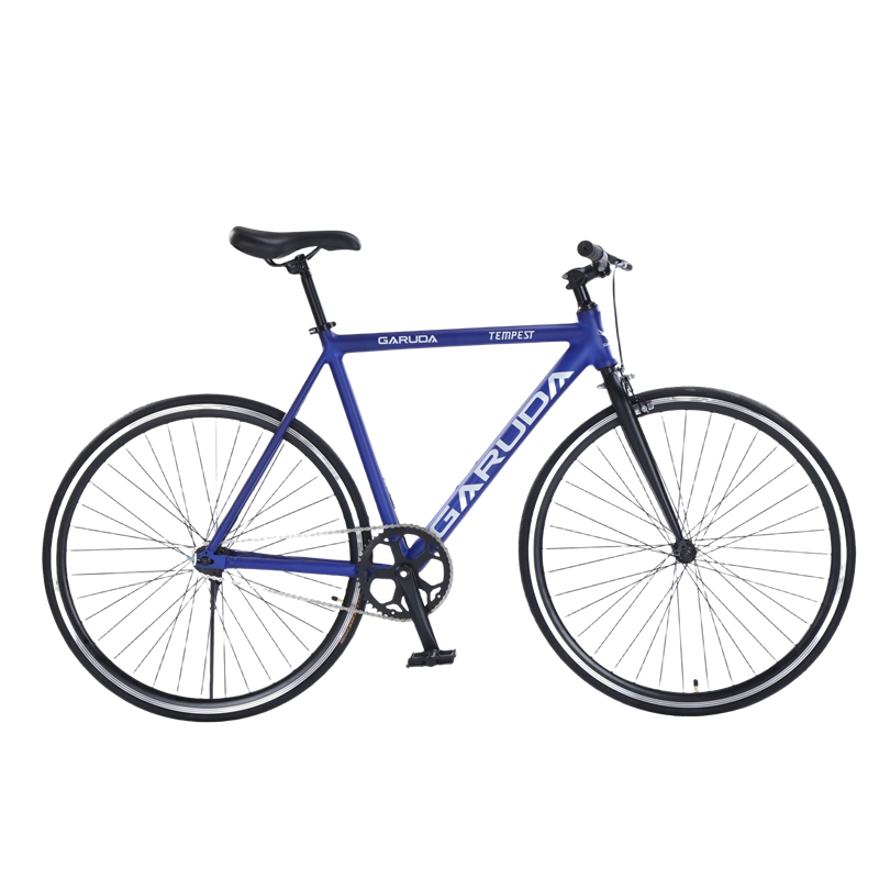 10 Best Fixie Bikes in the Philippines 2026 | Garuda, Enda, and More 4
