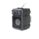 Astron SPARKLE Solar Powered Radio 1