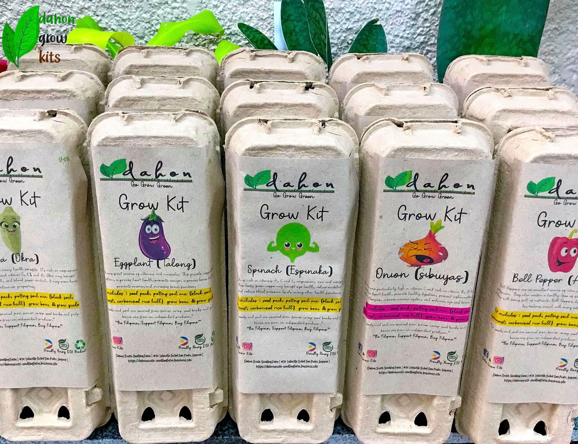 Eggplant Grow Kit 2