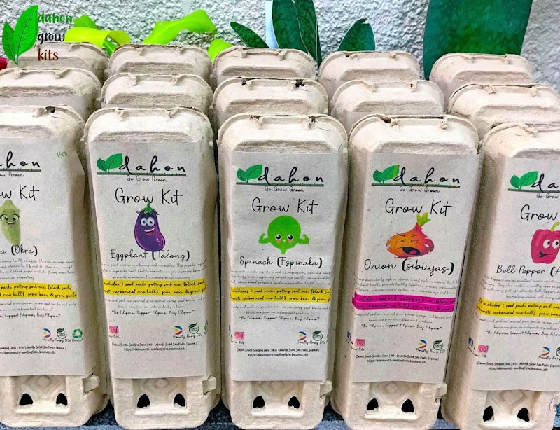 Eggplant Grow Kit 2