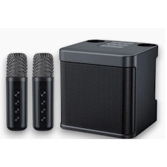 Wireless Karaoke Speaker