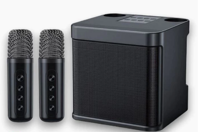 Wireless Karaoke Speaker 1