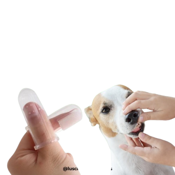 Dental Finger Brush 4