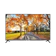 Avision 43 Inch 4K Smart Digital LED TV 1
