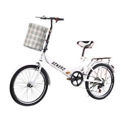 Folding Bike