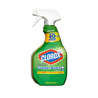 Clean-up Cleaner Spray 1