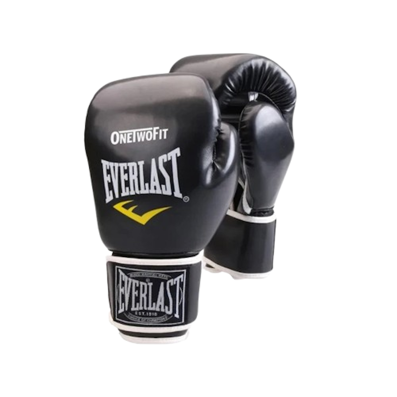 Professional Boxing and Training Gloves 1