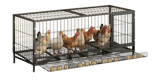10 Best Chicken Coops in the Philippines 2026 2