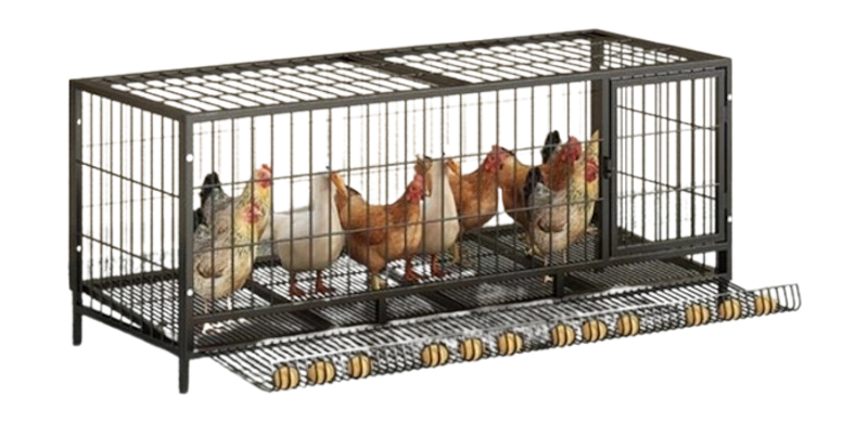 Heavy Duty Chicken Coop 1