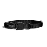 10 Best Cat Collars in the Philippines 2026 | Buying Guide Reviewed by Veterinarian 4