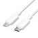 Vention IPhone Pro Max Fast Charging Type C 1