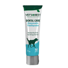 Enzymatic Toothpaste