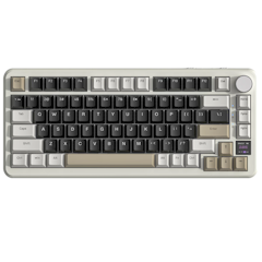 Wireless Mechanical Keyboard