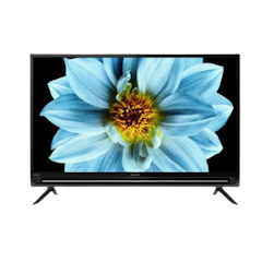 Google TV