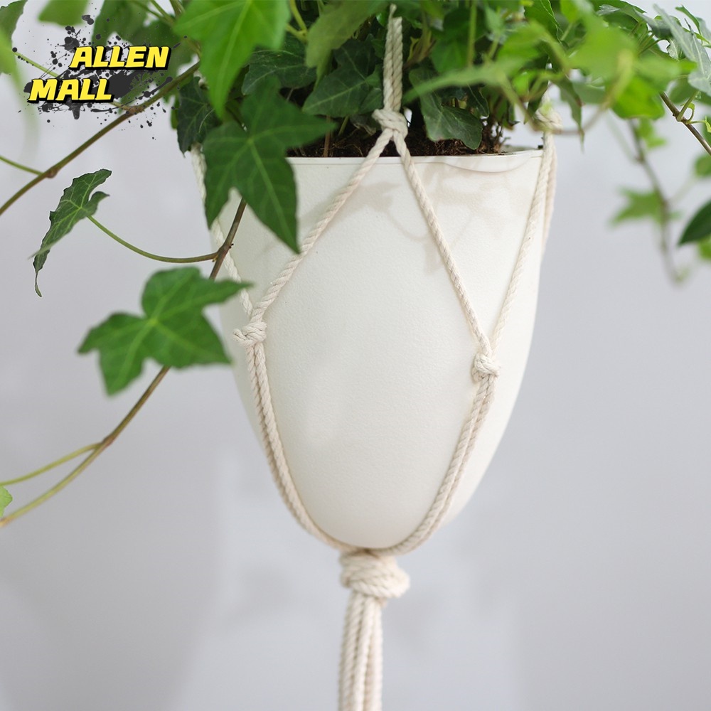 White Self Watering Hanging Planter 3