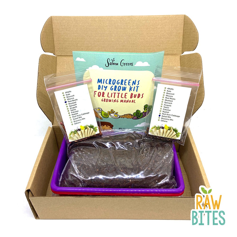 Microgreens Grow Kit (Kids) 5.0 1