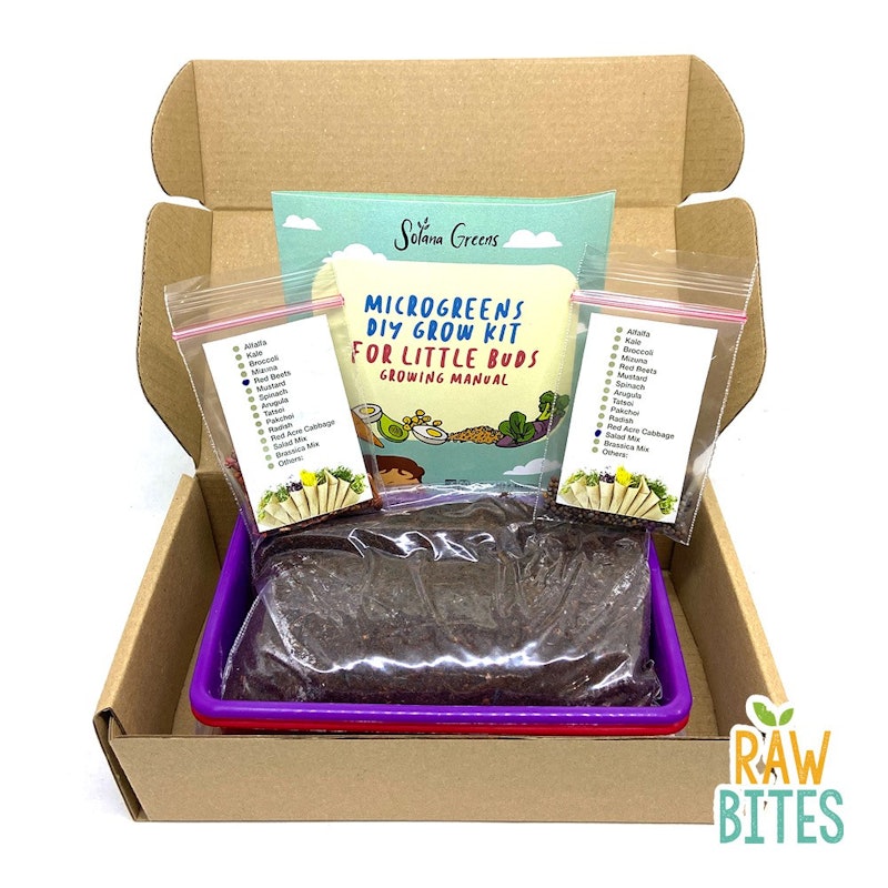 Microgreens Grow Kit (Kids) 5.0 1