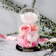 Bloomiere Primadonna 1