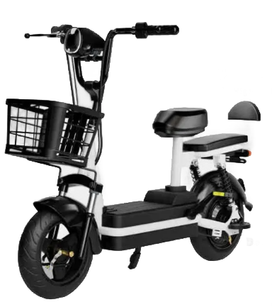 Tandem Electric Bicycle 1