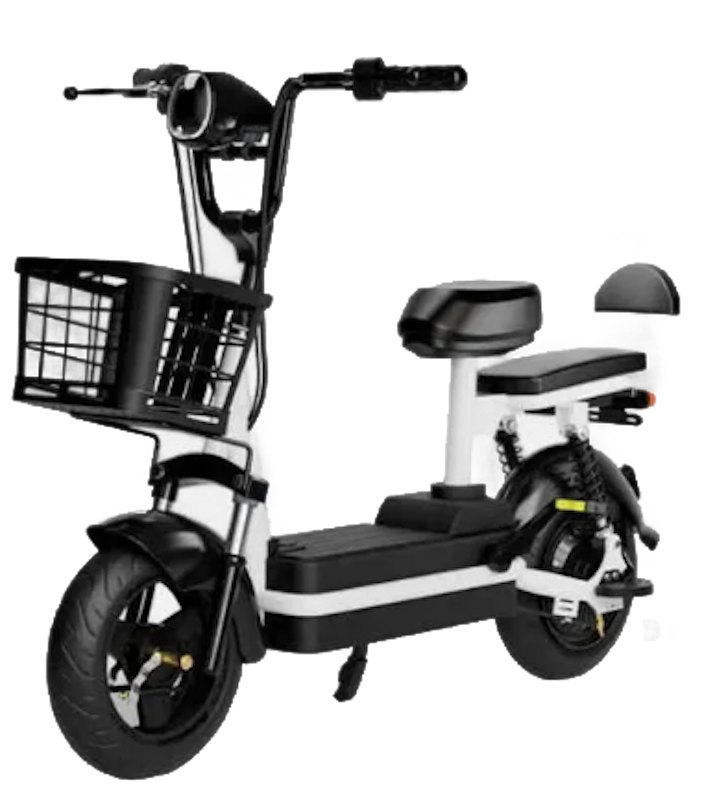 Tandem Electric Bicycle 1