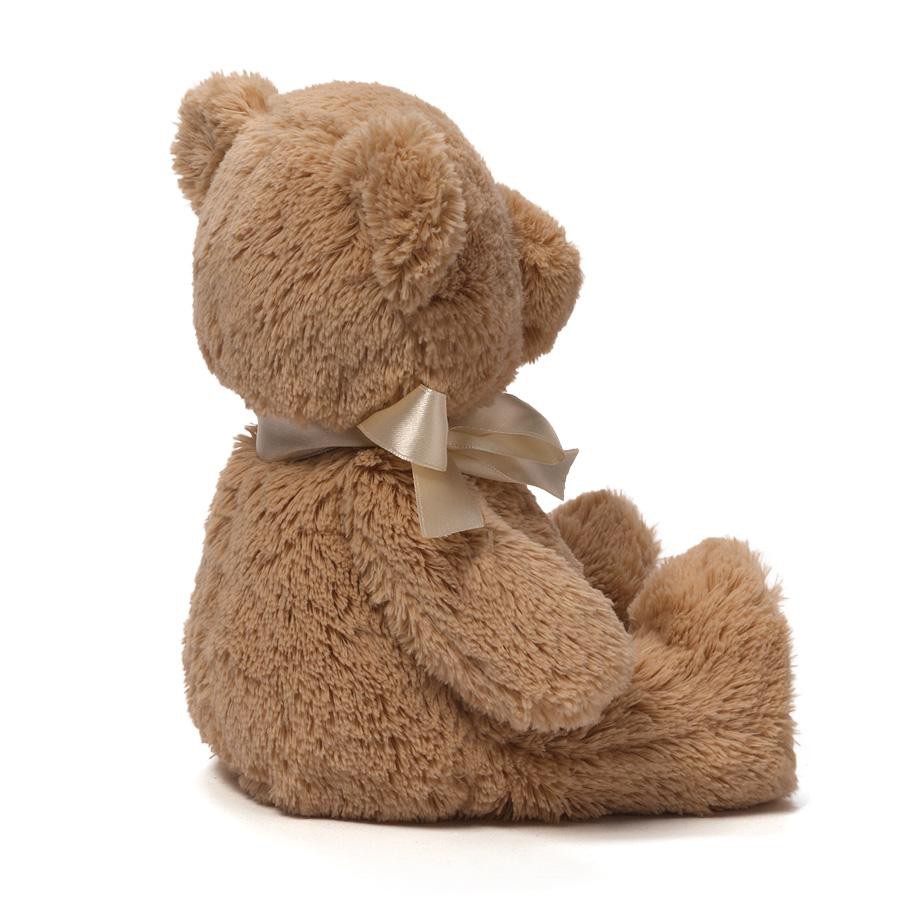 My 1st Teddy Bear	 2