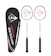 Dunlop Badminton Rapid Player Set 1