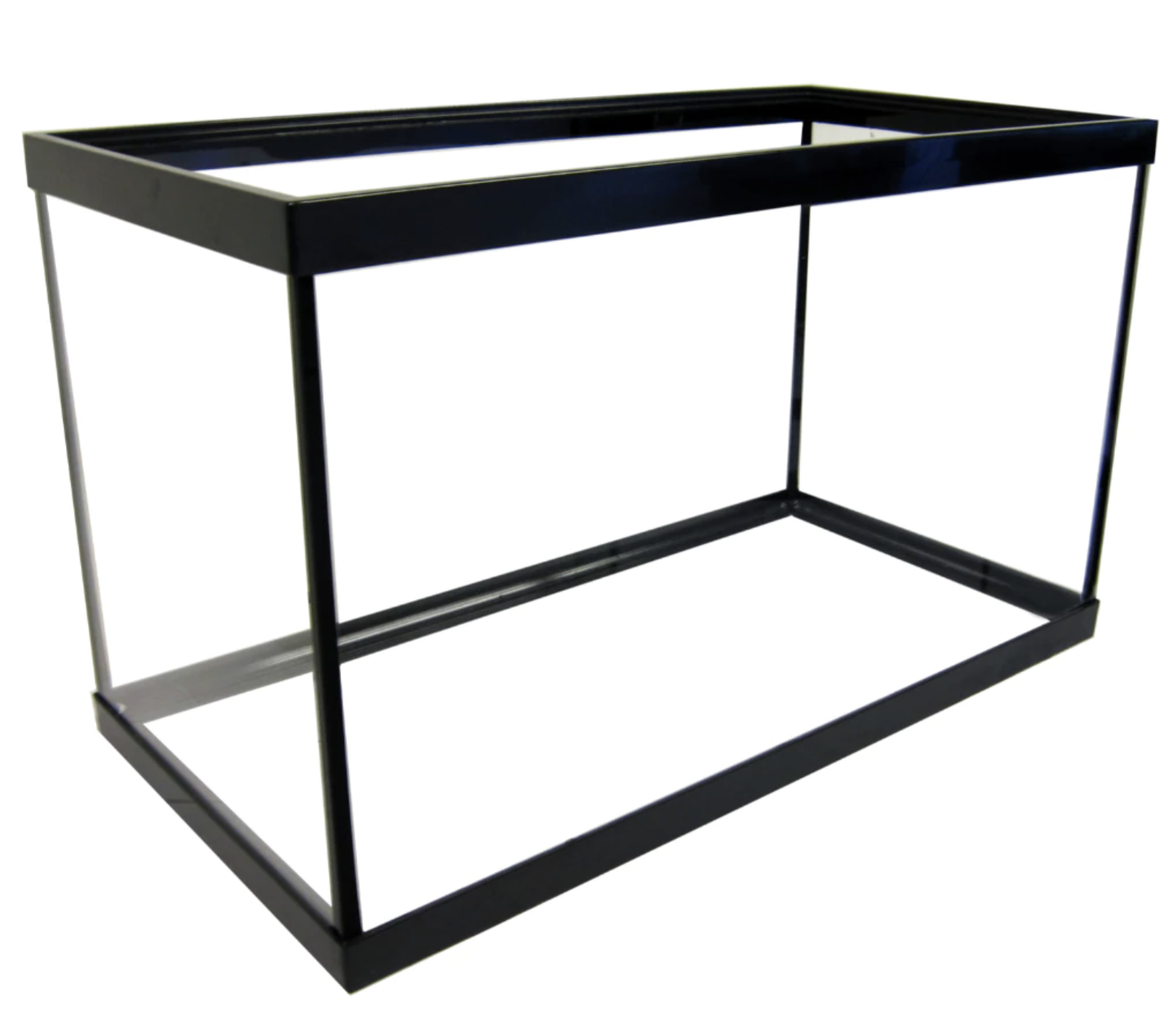 10 Best Small Aquariums in the Philippines 2026 2