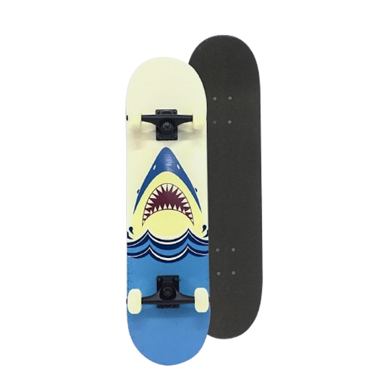 Classic Skateboard 1