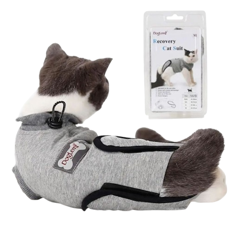 Cotton Cat Recovery Shirt 2