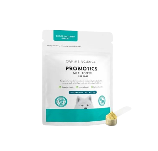 10 Best Diarrhea Medicines for Dogs in the Philippines 2026 | Buying Guide Reviewed by Veterinarian 1