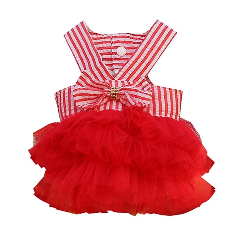 Summer Dog Lace Tulle Dress 3