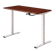 FlexiSpot Manual Standing Desk 1