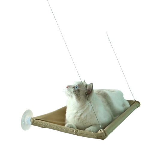 10 Best Cat Hammocks in the Philippines 2026 2